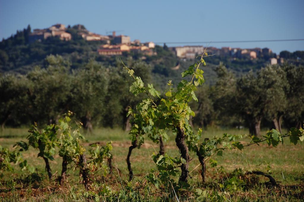 Agriturismo Quattro Pini Villa Castagneto Carducci Bagian luar foto