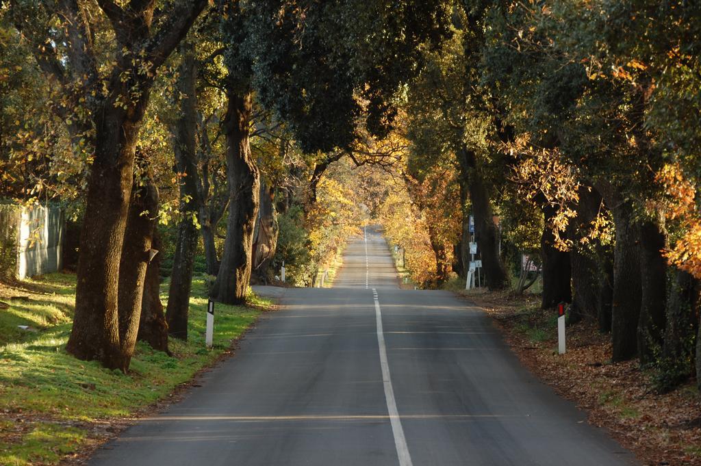 Agriturismo Quattro Pini Villa Castagneto Carducci Bagian luar foto