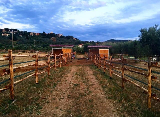 Agriturismo Quattro Pini Villa Castagneto Carducci Bagian luar foto